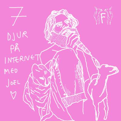 7. Djur på internet med Joel