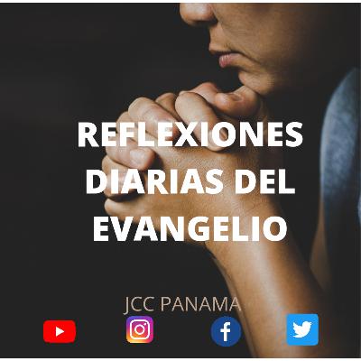 Reflexión del Evangelio del día de hoy, Jesús llamo a 12 discípulos