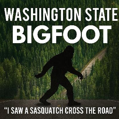 WASHINGTON STATE BIGFOOT: I HAD A FEW ENCOUNTERS AND NUMEROUS INTERACTIONS WITH THE SASQUATCH! WASHINGTON STATE BIGFOOT: I HAD A FEW ENCOUNTERS AND NUMEROUS INTERACTIONS WITH THE SASQUATCH!