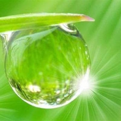 گزیده اشعار توسط هنرمندان مینا پاک نیا 💖 بهمن جعفری 💖 مسعود زمانی 💖 علی صاحبکار 💖 رضا پیربادیان