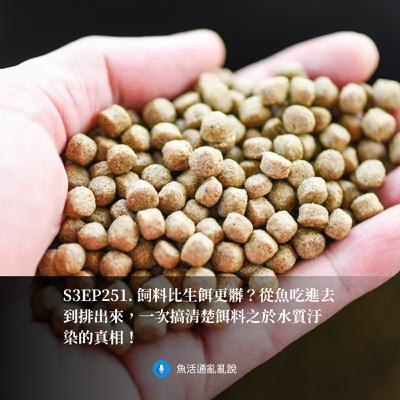 S3EP251. 飼料比生餌更髒?從魚吃進去到排出來,一次搞清楚餌料之於水質汙染的真相! S3EP251. 飼料比生餌更髒?從魚吃進去到排出來,一次搞清楚餌料之於水質汙染的真相!