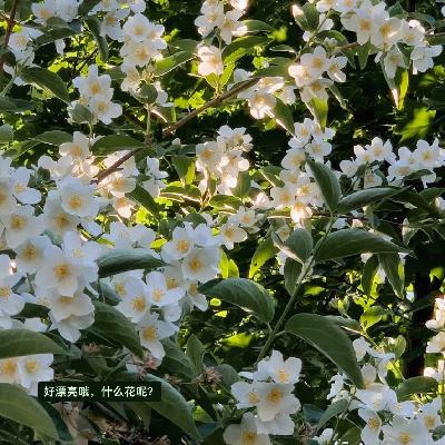 NAPs vol.9 | 到底要怎么样才能打起精神啊？