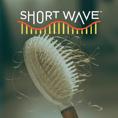 What Works – And Doesn’t – For Hair Loss?