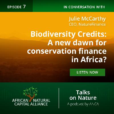 Biodiversity Credits: A New Dawn for Conservation Finance in Africa?