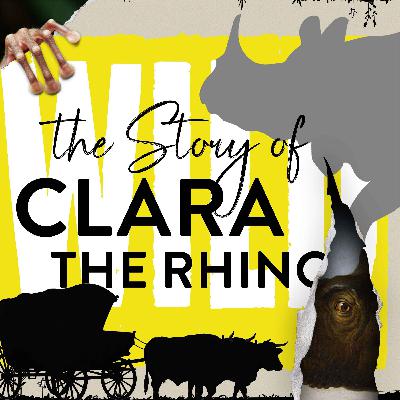 Launch Special - Clara the Rhino
