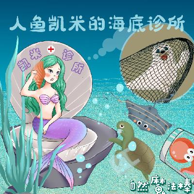 22 友善地球|人鱼凯米的海底诊所(上) 22 友善地球|人鱼凯米的海底诊所(上)