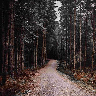 „Ein Morgen wie jeder andere“ - Ein Tierarzt sucht die Wahrheit „Ein Morgen wie jeder andere“ - Ein Tierarzt sucht die Wahrheit