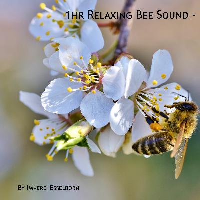 Relaxing Bee Sound in March