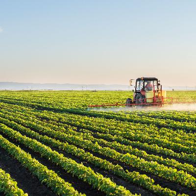 Mundo rural - Presupuestos europeos para el campo en 2028-2034 - 18/07/25