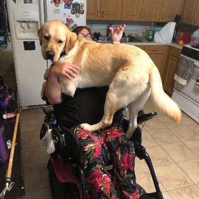 What is a Service Dog? PT 5