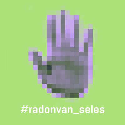 Zz4.p, e7. RADOVAN SÉLEŠ