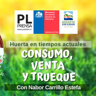 Episodio 8: "Consumo, venta y trueque" en Huerta en tiempos actuales con Nabor Carrillo Episodio 8: "Consumo, venta y trueque" en Huerta en tiempos actuales con Nabor Carrillo
