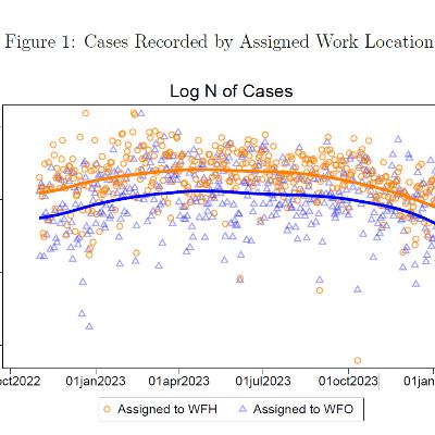 Working from Home in the Public Sector: A Game Changer for Productivity?