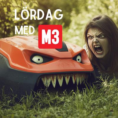 Overlanding, Kia-racing och arga gräsklippare