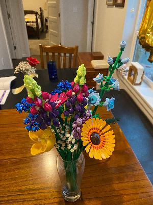 Another year around the sun ☀️ ... Another year around the sun ☀️ ...