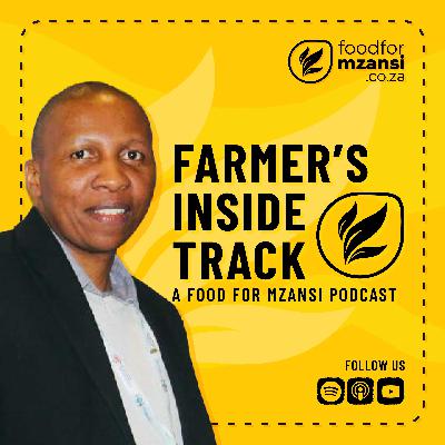 Taking your agribusiness from informal to formal