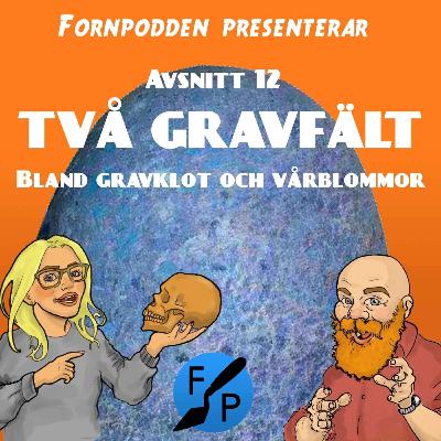Avsnitt 12 - Två gravfält Avsnitt 12 - Två gravfält