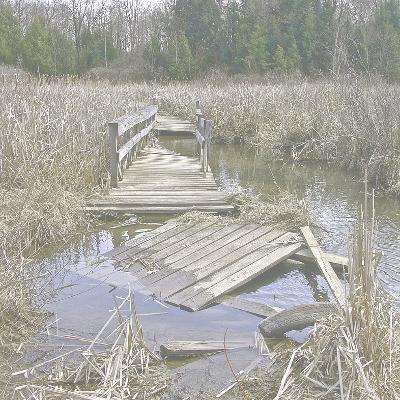 Darren C. Demaree Reading Nude Male with Echo #251