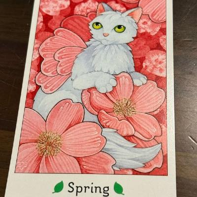 793【猫オラクルカード】2/23〜3/1のメッセージ『春』 793【猫オラクルカード】2/23〜3/1のメッセージ『春』