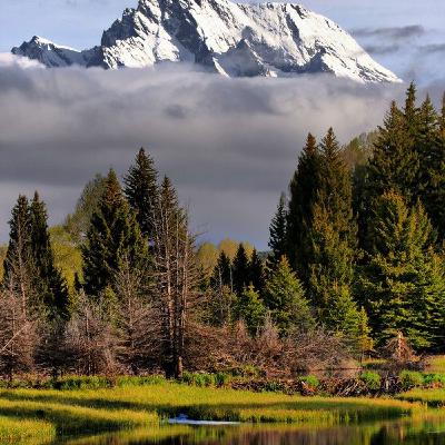 Episode 58- Surah Al -Buruj Episode 58- Surah Al -Buruj