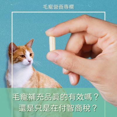 EP12 🎧 毛孩保健品是必要還是智商稅？🔍 一集帶你搞懂真相與挑選技巧！