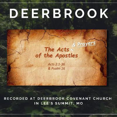 The Acts of the Apostles - Powerful Prayer