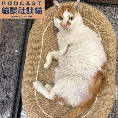 EP212 最貼近貓行為的五星級飯店 ft.吉貓寓所創辦人Jennifer