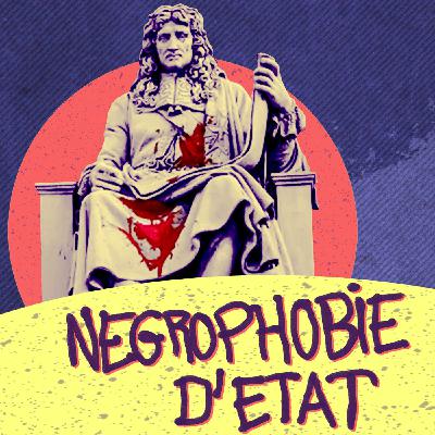 Episode 2 : négrophobie d'Etat
