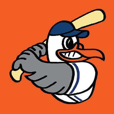 Newport Gulls