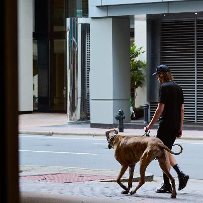Warren C Street Photography Podcast: No edits, UK Rep’N and How Green are you?