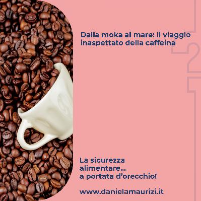 ST4_Ep.41 - Dalla moka al mare: il viaggio inaspettato della caffeina
