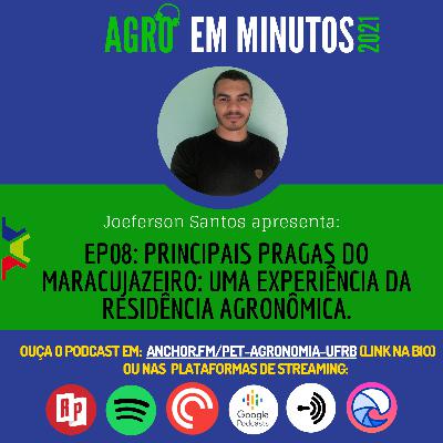 EP08/ T02 Principais pragas do maracujazeiro: uma experiência da residência agronômica.