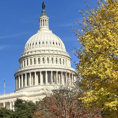 Some American People - XXX - Washington, D.C., National Mall