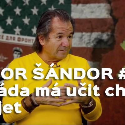 Šándor 02: Armáda má učit chlapy zabíjet, ne je učit stlát postel. Vojnu dneska plošně obnovit nejde