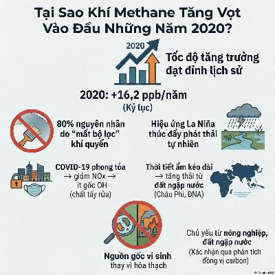🌫️ Nghịch Lý Methane: Vì Sao CH₄ Tăng Vọt Khi Đại Dịch Covid 19 ? 🌫️ Nghịch Lý Methane: Vì Sao CH₄ Tăng Vọt Khi Đại Dịch Covid 19 ?