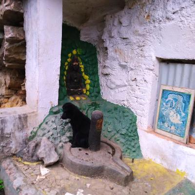 Postural Yoga and Bhakti in Zen and Pure Land