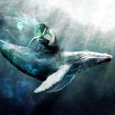 Música para Ballenas - El don de la Música para volver.