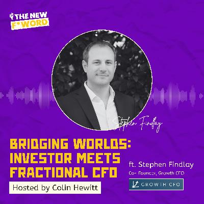 Bridging Worlds: Investor Meets Fractional CFO