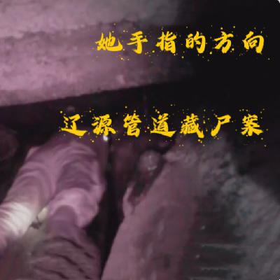 EP39.她手指的方向-辽源管道藏尸案 EP39.她手指的方向-辽源管道藏尸案