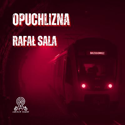 OPUCHLIZNA - Rafał Sala - Słuchowisko Grozy (46 min) OPUCHLIZNA - Rafał Sala - Słuchowisko Grozy (46 min)