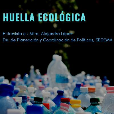 Huella Ecológica_Un Tlacuache en la Ciudad