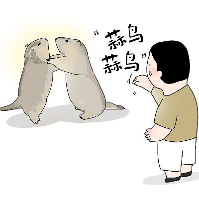 China's youth leading a dialect revival China's youth leading a dialect revival