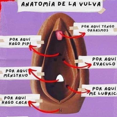 Ginecología 101, en baloncesto Gano Puerto Rico, Junior Rubén y El Stripper Los Salvajes Podcast