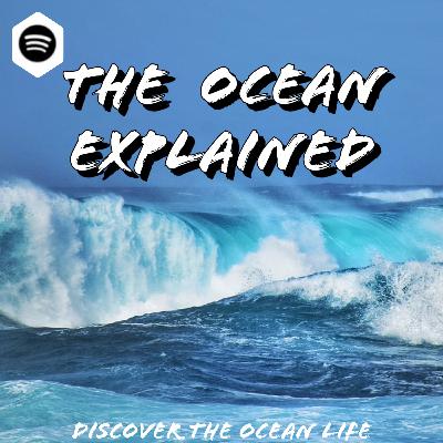 The Oarfish : Gigantic and Bioluminescent, yet Paradoxical : Why does this fish attract so much attention and How is he linked to earthquakes ? - Biology of the Deep Ocean