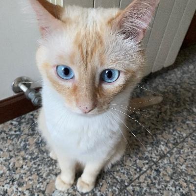 vou morar sozinho para lisbonita