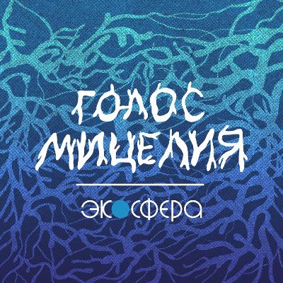 Выпуск №50. Андрей Виноградов об Антропошколе ТюмГУ и истории промышленного загрязнения