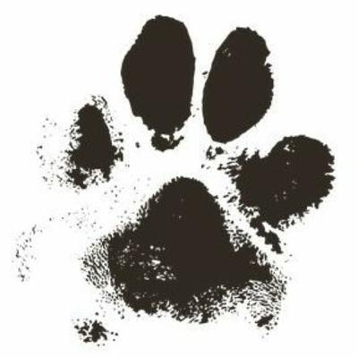 #3- The Goodest Boy_Since 17982 B.C