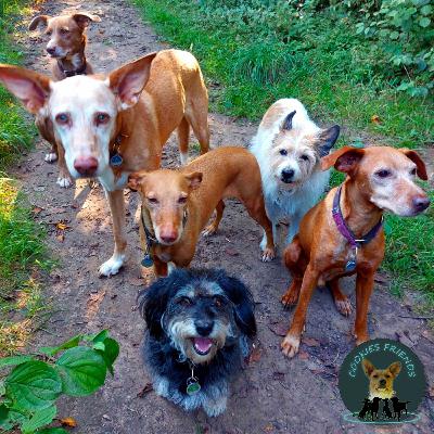 CF 31 - Nea und Hanno.