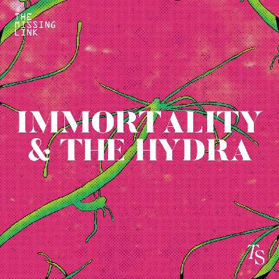 Immortality and The Hydra