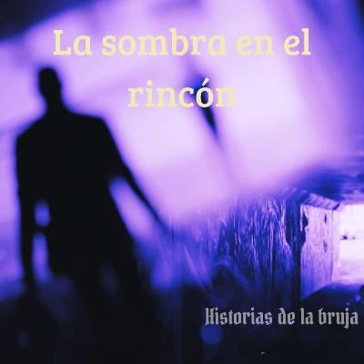 31- La sombra en el rincón